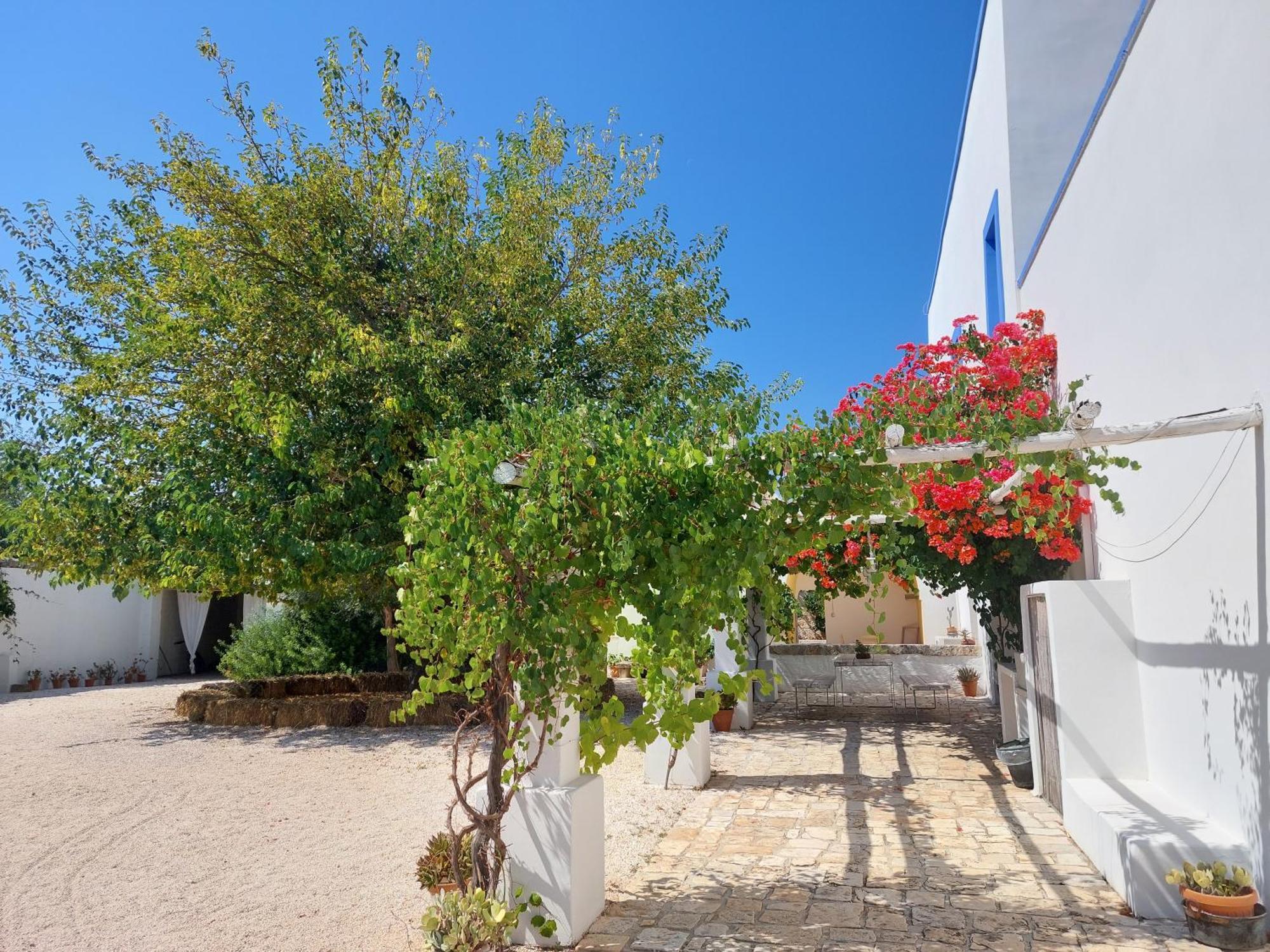 Masseria San Martino Polignano a Mare Eksteriør bilde