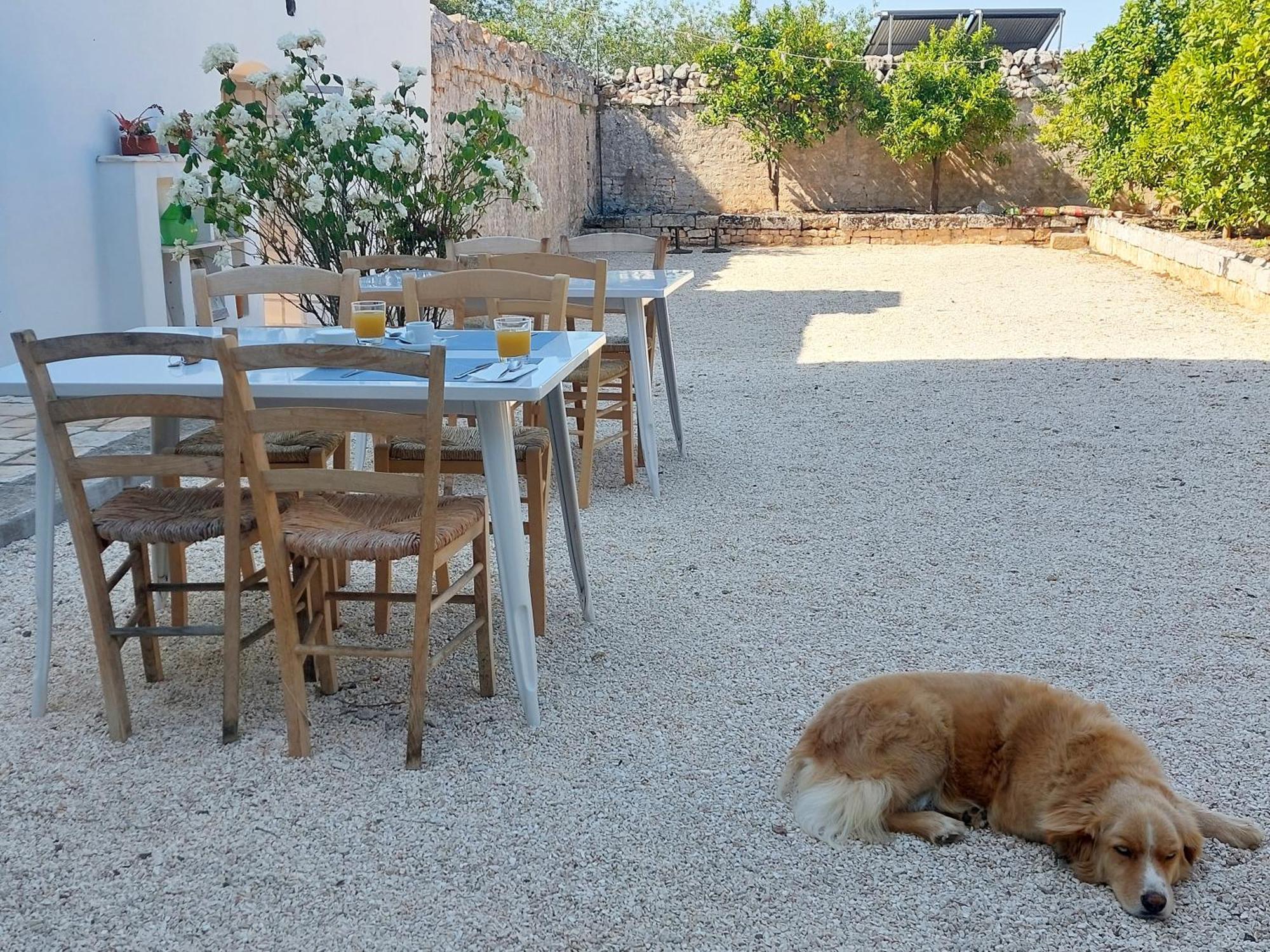 Masseria San Martino Polignano a Mare Eksteriør bilde
